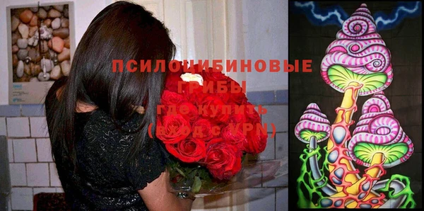 каннабис Арсеньев