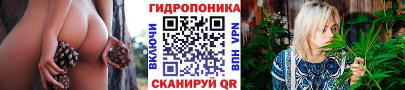 Купить где  Каневская  Каннабис AK-47 